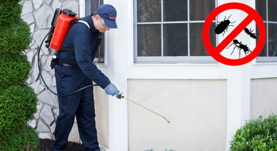 Beylikdüzü Bit İlaçlama böcek ilaçlama ve haşere kontrolü — ilaclama-tr.com